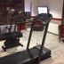 Palestra
