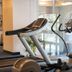 Palestra