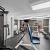 Palestra