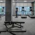 Palestra