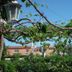 Vista esterna