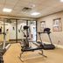 Palestra