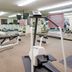 Palestra