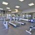 Palestra