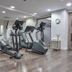 Palestra