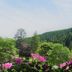 Vista esterna
