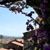 Vista esterna
