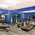 Palestra