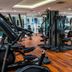 Palestra