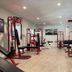 Palestra