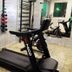 Palestra