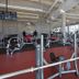 Palestra