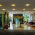 Ingresso