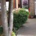 Vista esterna