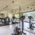 Palestra