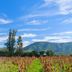 Vista esterna