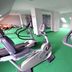 Palestra
