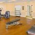 Palestra