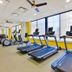 Palestra