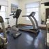 Palestra