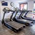 Palestra