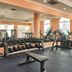 Palestra