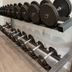 Palestra