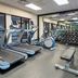 Palestra