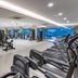Palestra