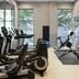 Palestra