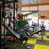 Palestra