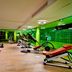 Palestra