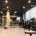 Palestra
