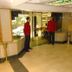 Ingresso