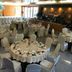 Sala ricevimenti