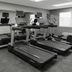 Palestra