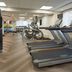 Palestra
