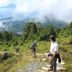 Altro
