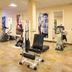 Palestra