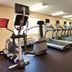 Palestra