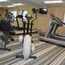 Palestra