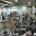 Palestra