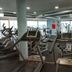 Palestra