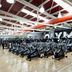 Palestra