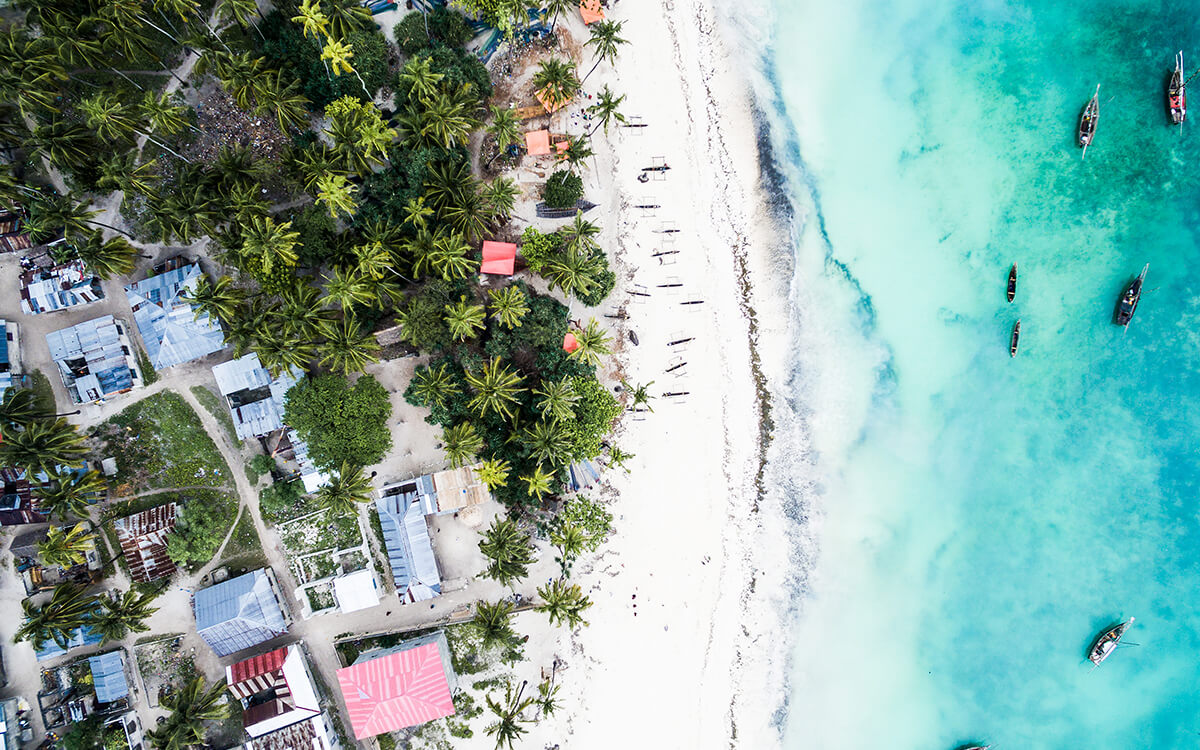 destinazione di marcia zanzibar