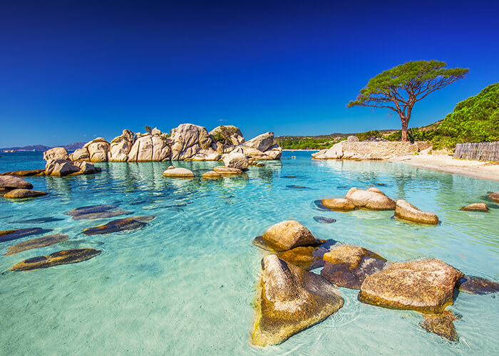 gevision/Shutterstock.com | Spiaggia di Palombaggia, Corsica