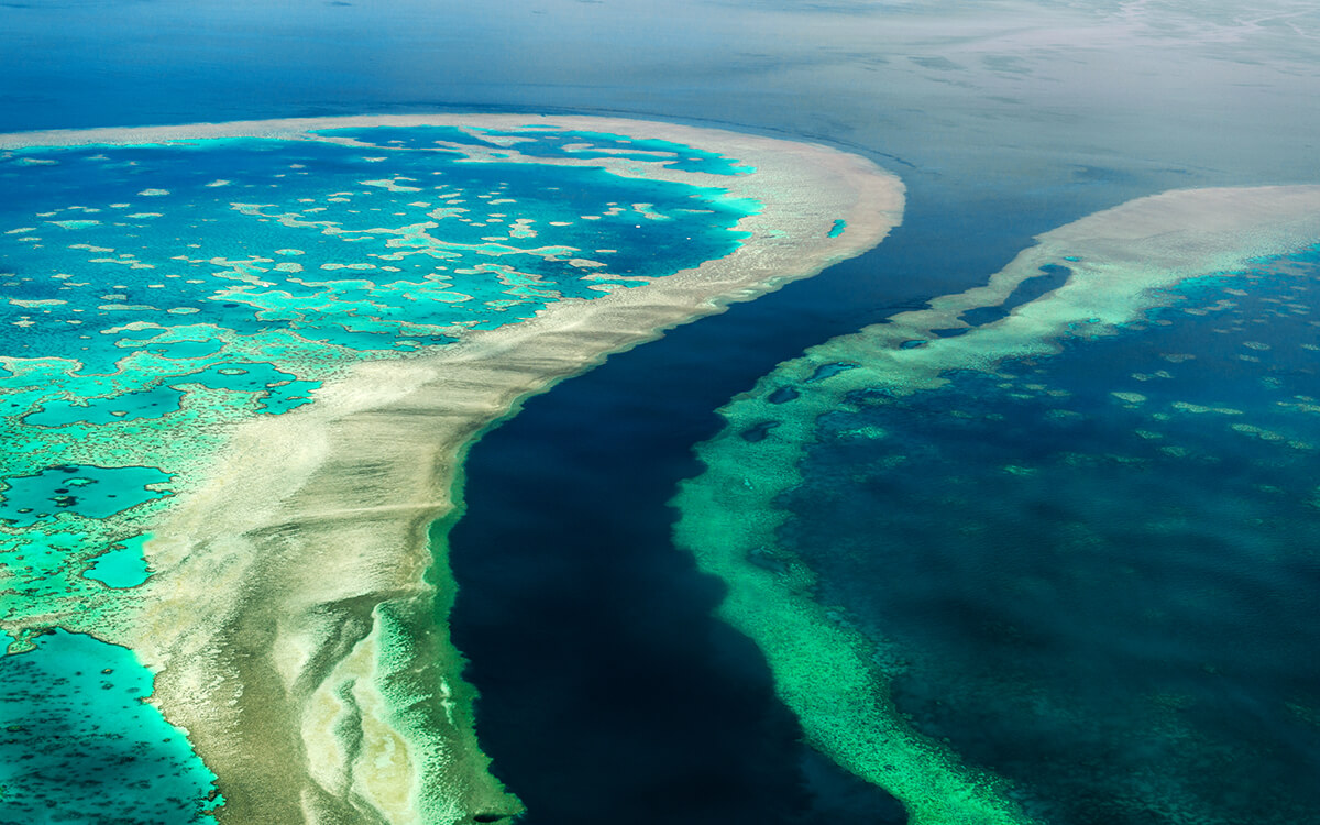 Viaggi e fotografia: i posti più belli e spettacolari del mondo. La grande barriera corallina in Australia
