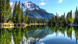 Trova voli economici per Alberta