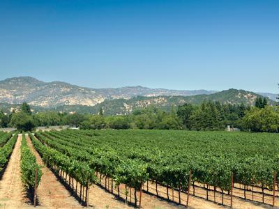 Yountville