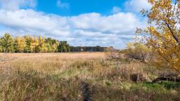 Trova voli low cost per Minnesota